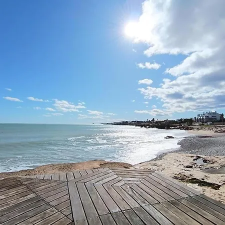 Palmeras En El Mar